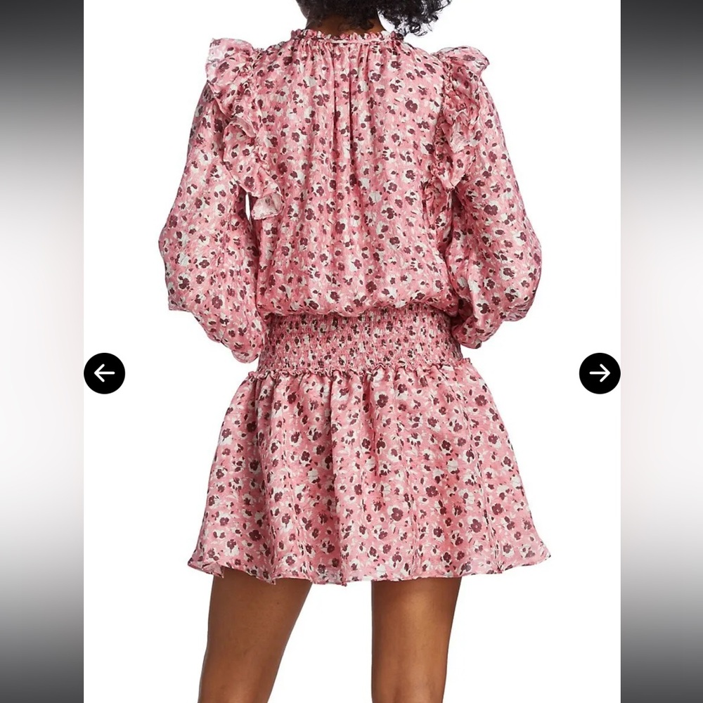 Ramy Brook Penelope Floral Pink Ruffled Dress small - Picture 2 of 8
